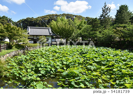 萬福寺 放正池 萬福寺 放正池 54181739
