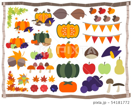 秋の植物 野菜 果物のイラストのイラスト素材