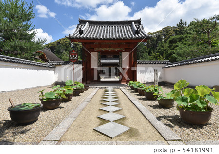 萬福寺塔頭 天真院 萬福寺塔頭 天真院 54181991