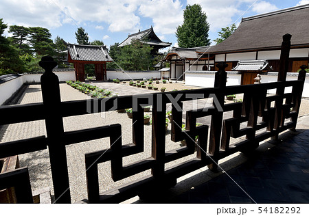 萬福寺　開山堂から松隠堂客殿を望む 54182292