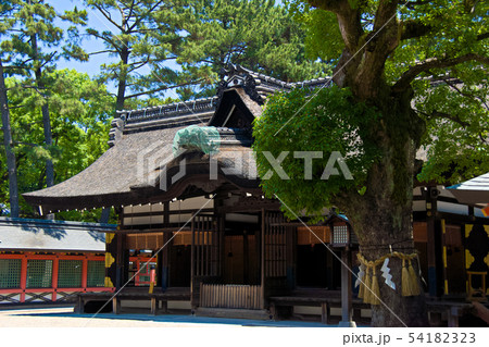 住吉大社 54182323