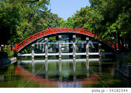 住吉大社 54182344