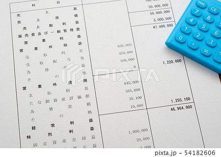 決算報告書　決算書　貸借対照表　ビジネスシーン 54182606