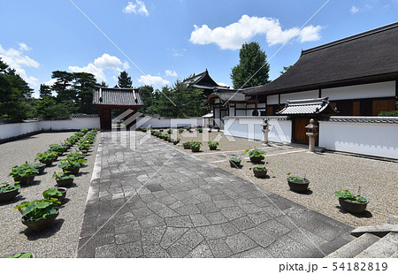 萬福寺 松隠堂客殿 萬福寺 松隠堂客殿 54182819