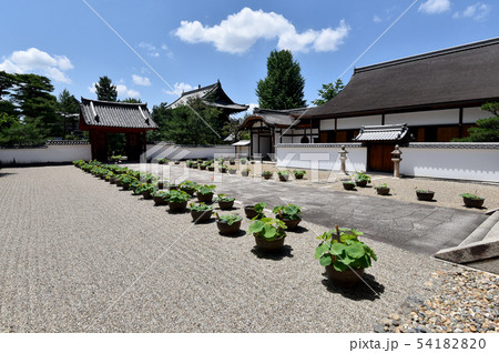 萬福寺 松隠堂客殿 萬福寺 松隠堂客殿 54182820