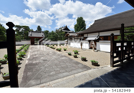 萬福寺 開山堂から松隠堂客殿を望む 萬福寺 開山堂から松隠堂客殿を望む 54182949