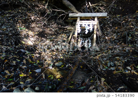 有鹿神社　奥宮 54183390