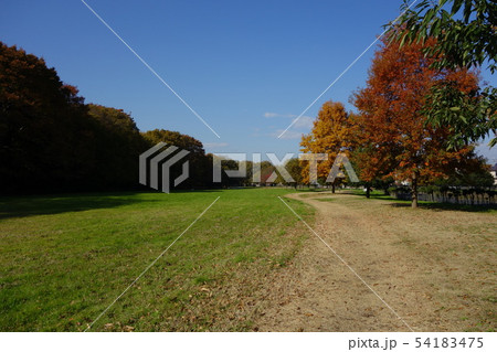 勝坂遺跡 勝坂遺跡 54183475