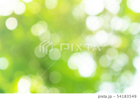natural green bokeh abstract background,blurred natural green bokeh abstract background,blurred 54183549