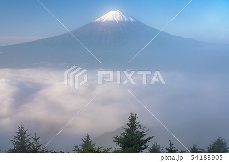 《山梨県》初夏の富士山・大雲海 54183905
