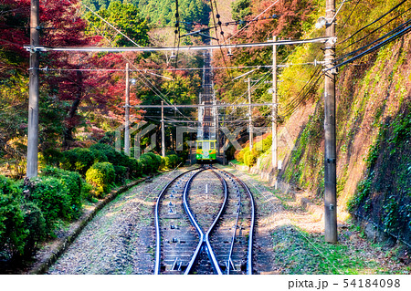 東京 紅葉の高尾山ケーブルカー 54184098