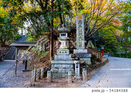 東京 紅葉の高尾山薬王院 女坂男坂 東京 紅葉の高尾山薬王院 女坂男坂 54184388