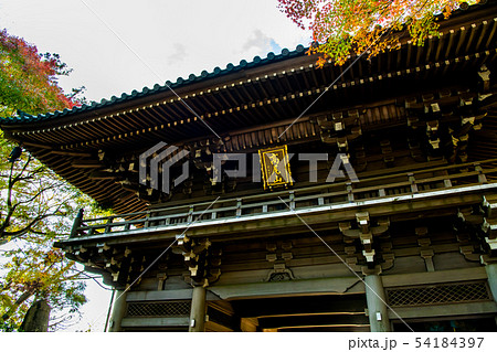 東京 紅葉の高尾山薬王院 山門 東京 紅葉の高尾山薬王院 山門 54184397