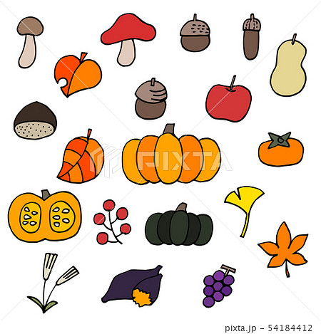 秋の植物 野菜 果物のイラストのイラスト素材