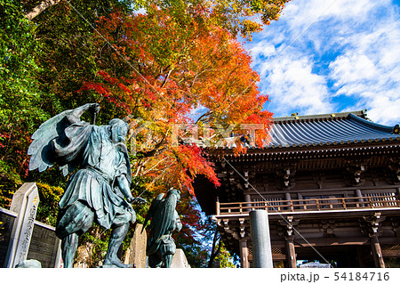 東京 紅葉の高尾山薬王院 天狗像と山門 東京 紅葉の高尾山薬王院 天狗像と山門 54184716