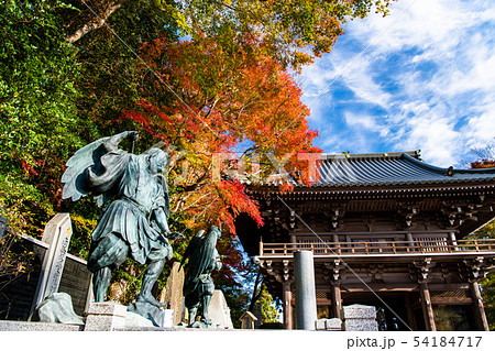 東京 紅葉の高尾山薬王院 天狗像と山門 東京 紅葉の高尾山薬王院 天狗像と山門 54184717