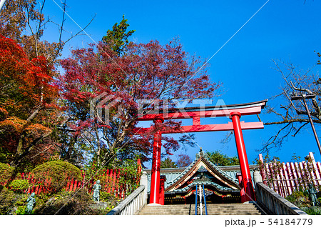 東京 紅葉の高尾山薬王院 本社鳥居 54184779