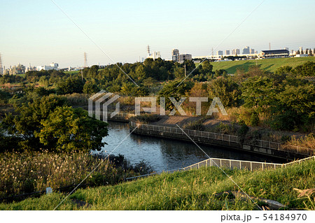 荒川河川敷 彩湖 第一調整池排水門付近 54184970