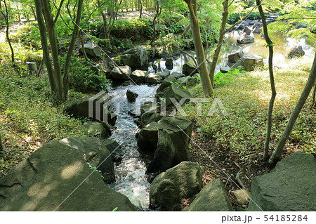 旧三井財閥別邸の庭園 旧三井財閥別邸の庭園 54185284