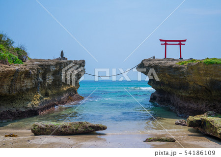 伊豆 白浜海岸 白浜神社の鳥居 伊豆 白浜海岸 白浜神社の鳥居 54186109