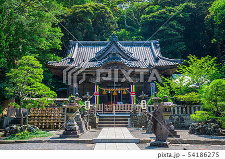 伊豆　白浜神社の拝殿 54186275