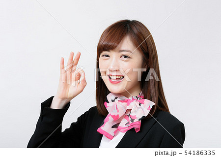 ビジネスウーマン 54186335