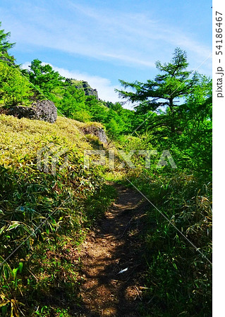 前掛山へ かもしか平付近 前掛山へ かもしか平付近 54186467