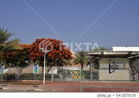 UAE ドバイ ザビールパーク周辺の風景 UAE ドバイ ザビールパーク周辺の風景 54187019