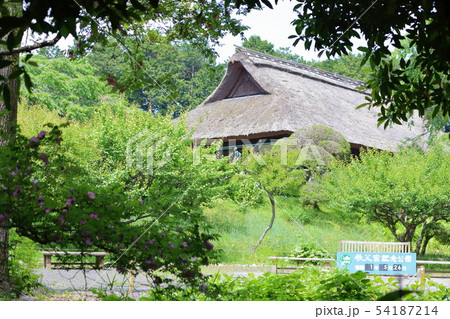 瓦葺き屋根 秩父宮記念公園 歴史的建造物 瓦葺き屋根 秩父宮記念公園 歴史的建造物 54187214