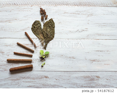 Various stages in the production of cigars. Various stages in the production of cigars. 54187612