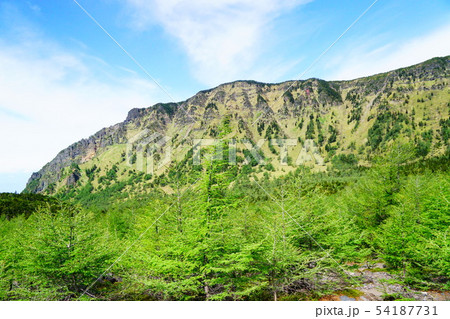 前掛山麓から黒斑山方面を望む 54187731