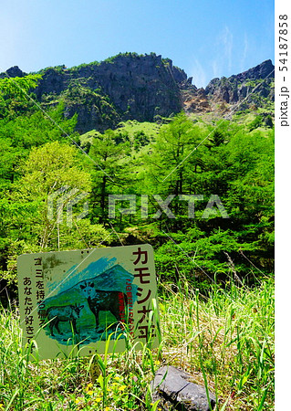 前掛山への登山道　カモシカ平 54187858