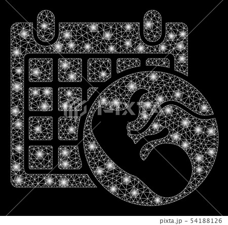 Bright Mesh Network Embryo Calendar with Flare Spots 54188126