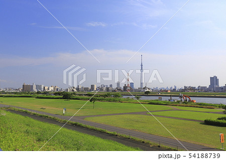 荒川と東京スカイツリー 東京都葛飾区堀切 荒川と東京スカイツリー 東京都葛飾区堀切 54188739