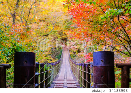 花貫渓谷 （秋） 54188998