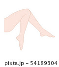 女性　脚 54189304
