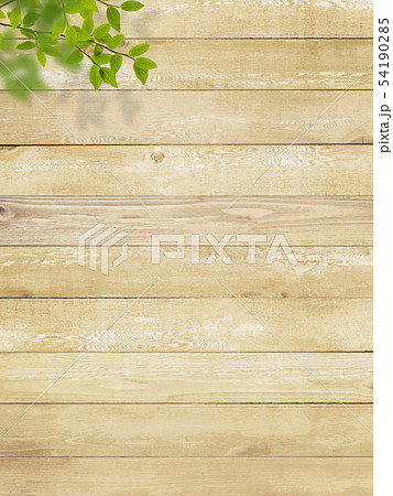 背景-木目-枝-葉 54190285