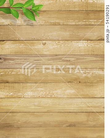 背景-木目-枝-葉 背景-木目-枝-葉 54190291