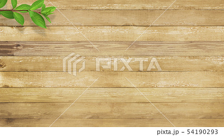 背景-木目-枝-葉 54190293