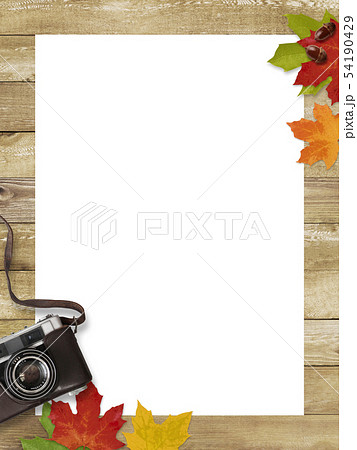背景 木目 カメラ 落ち葉 秋 フレームのイラスト素材