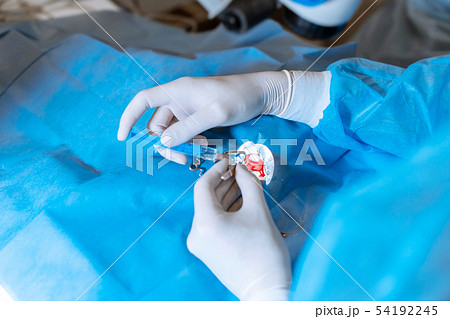 pet ophthalmologist surgeon doing difficult pet ophthalmologist surgeon doing difficult 54192245