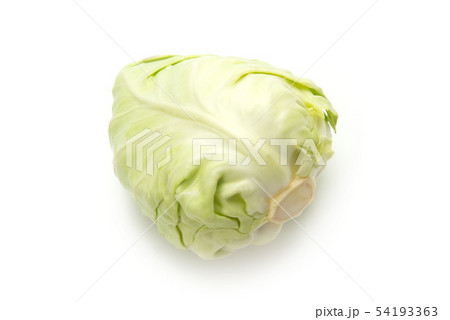 みさき甘藍 54193363