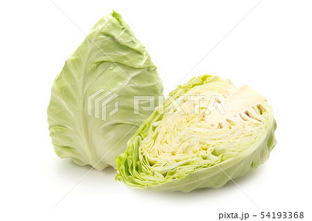 みさき甘藍 54193368