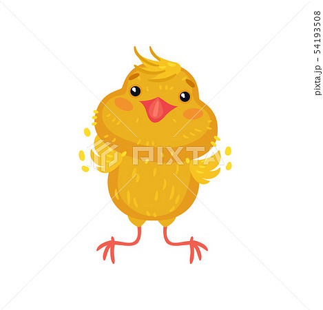 Little yellow chick jumps. Vector illustration on white background. Little yellow chick jumps. Vector illustration on white background. 54193508