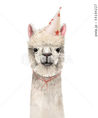 Watercolor lama portrait Watercolor lama portrait 54194227