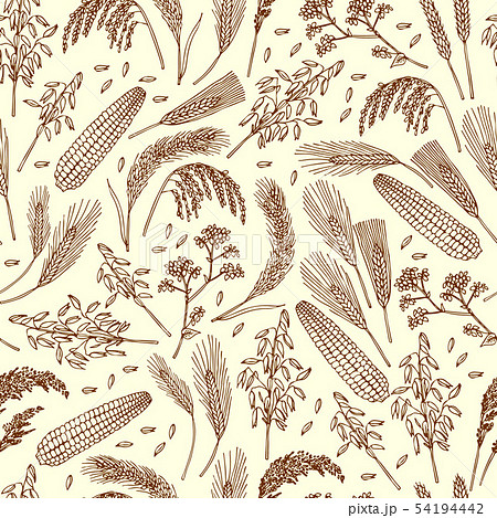 Seamless pattern of organic foods. Cereals, rice, grains Seamless pattern of organic foods. Cereals, rice, grains 54194442
