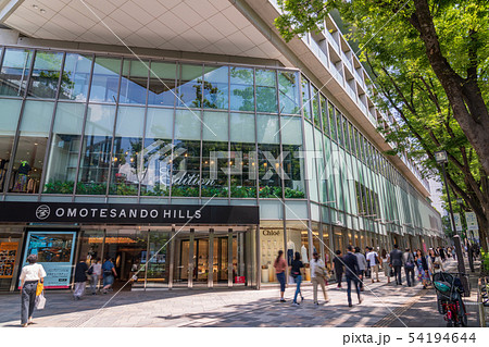 新緑の表参道 新緑の表参道 54194644