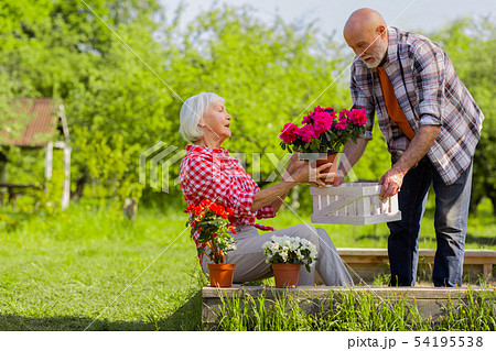 Bearded husband helping his beautiful wife taking care of flowers Bearded husband helping his beautiful wife taking care of flowers 54195538