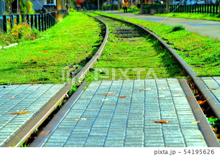 秋の小樽の散歩道の風景 54195626