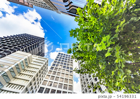 新緑と都会のビル群 54196331